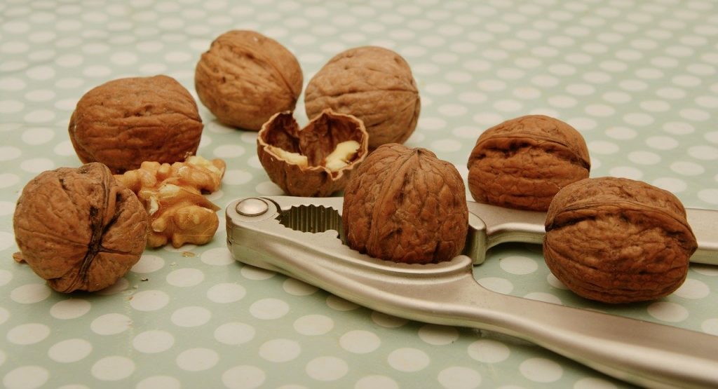 walnuts 1891141 1280