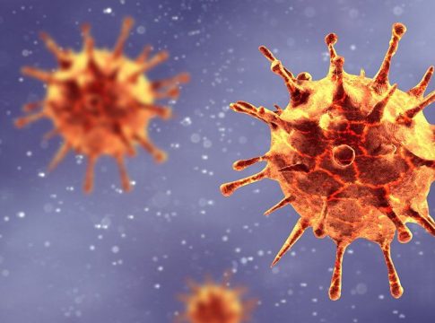 Coronavirus Coronavirus