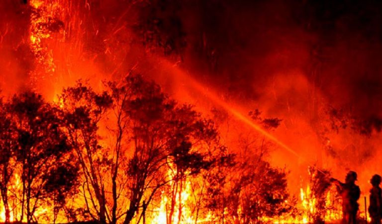 Los dos incendios más grandes de 2020 quemaron la cuarta parte del total de hectáreas hasta el 15-O en España