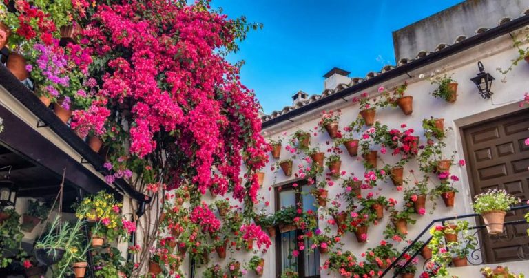 La Fiesta de los Patios de Córdoba celebra en 2021 cien años con programación anual