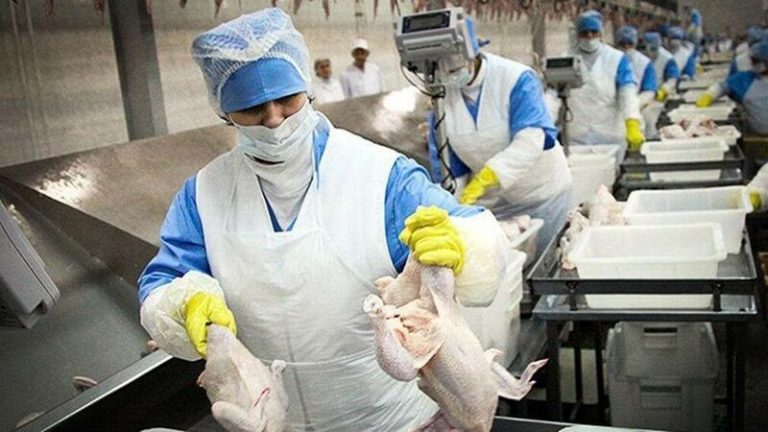 Los mataderos de aves y conejos irán a la huelga el 13 y 14 de octubre