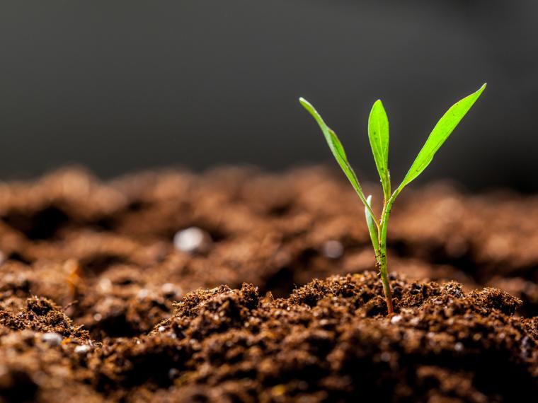 Gobierno de Murcia presenta proyectos destinados a mitigar el cambio climático