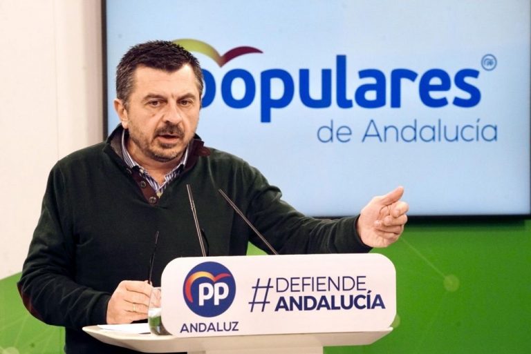 PP-A llama a PSOE-A y Adelante a que el Debate de la Comunidad sea 