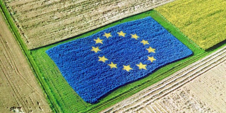 La Eurocámara quiere que la nueva PAC no dé ayudas a los 'agricultores de sofá'