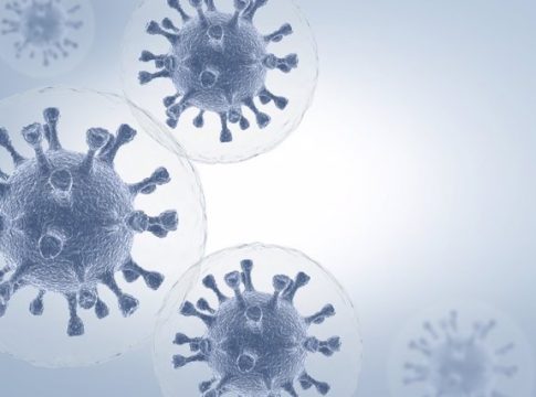 Cvirus.- Las células T de pacientes recuperados muestran promesa para proteger de la infección, según estudio