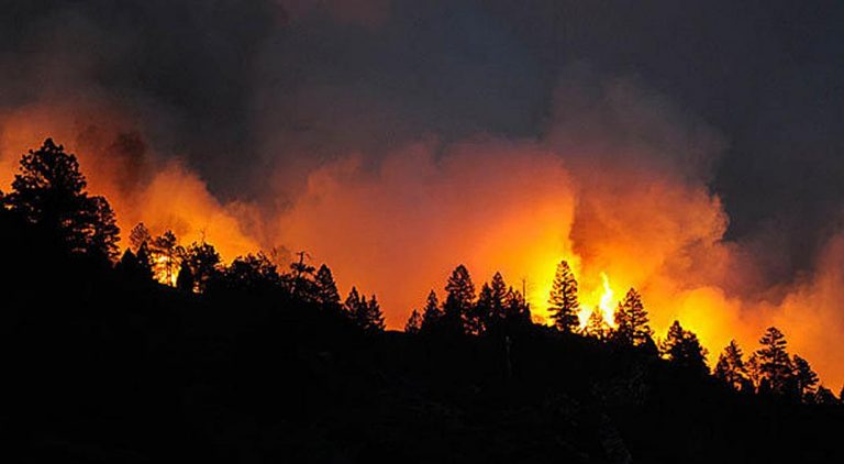 Gobierno destina 1,01 millones de euros a restaurar zonas afectadas por incendios