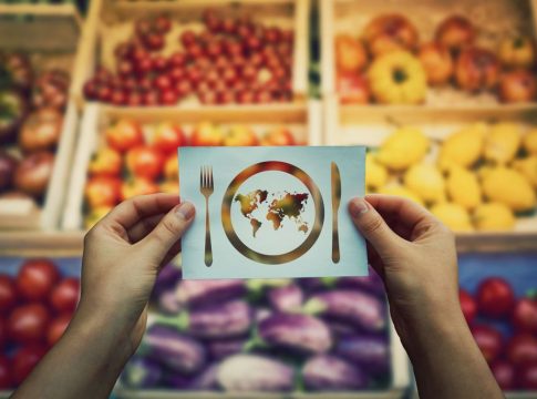 Alimentación Mundial Alimentación Mundial