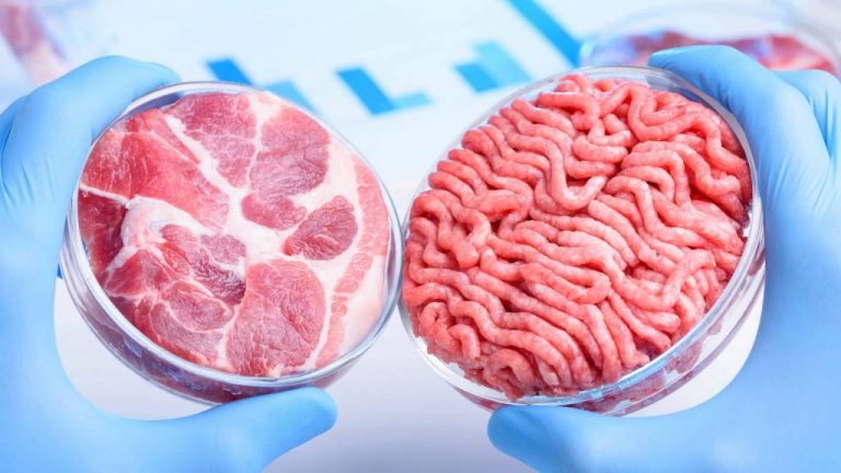 Insectos y carne de laboratorio: así será la comida en 2030