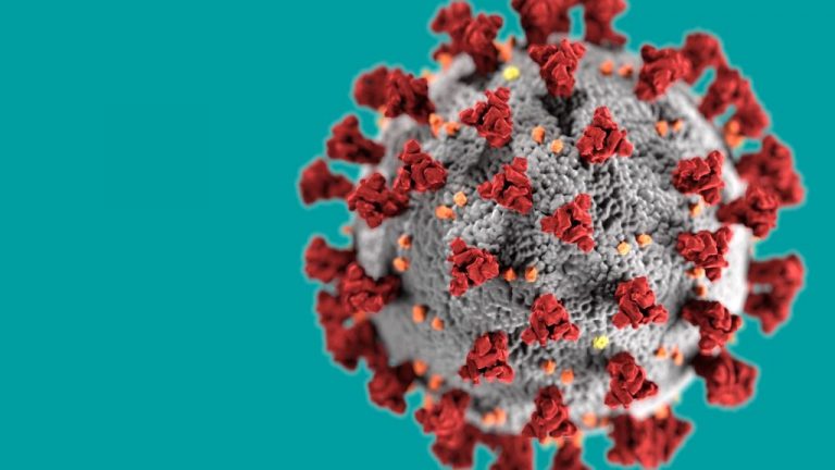 El dispositivo especial de cribado dirigido para la detección del COVID-19 en Logroño supera los 2.800 test en dos días