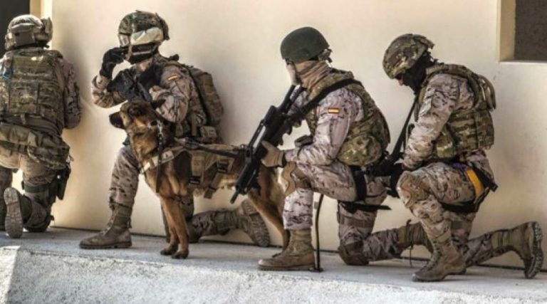 El Ejército de Tierra embarca en Santander vehículos