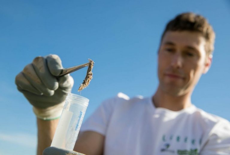 Ciencia LIBERA analiza 2.500 muestras recogidas en espacios naturales