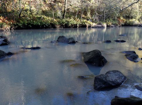 Endesa dice que turbidez del Eume Endesa dice que turbidez del Eume