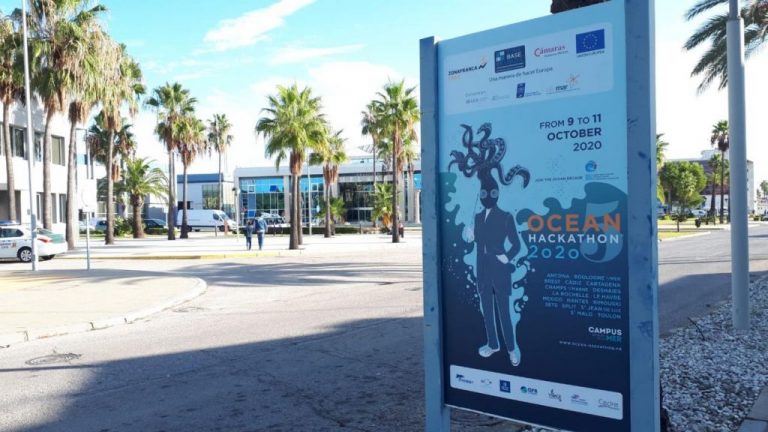 El reto de geolocalizar caballitos de mar, ganador del Ocean Hackathon 2020