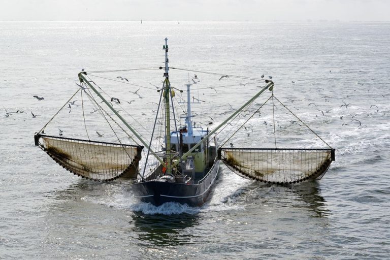 España trabaja para conseguir unas posibilidades de pesca que garanticen la estabilidad del sector
