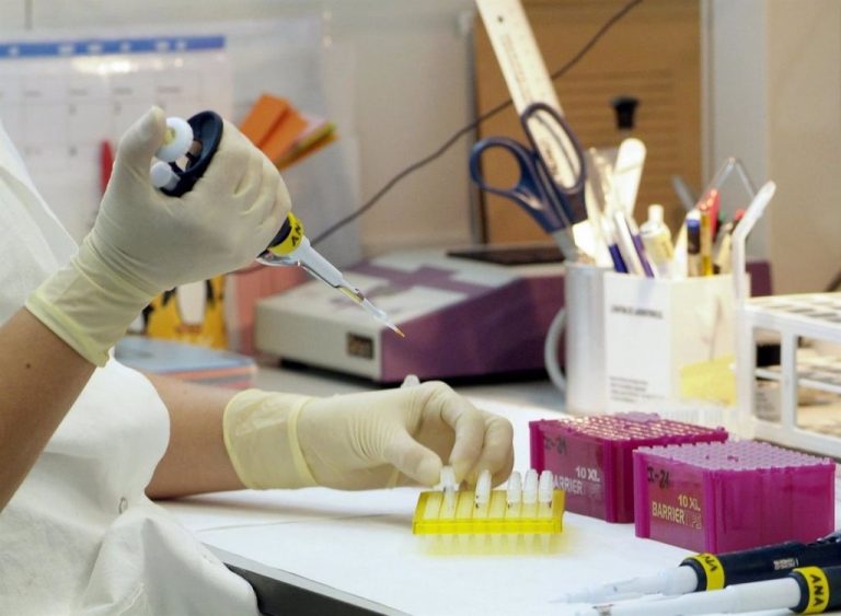 Maestre, Jaume I en Protección del Medio Ambiente, reivindica la utilidad del conocimiento