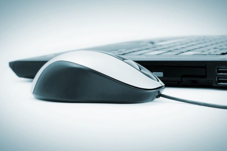 El Gobierno autoriza la convocatoria de ayudas para proyectos innovadores agroalimentarios