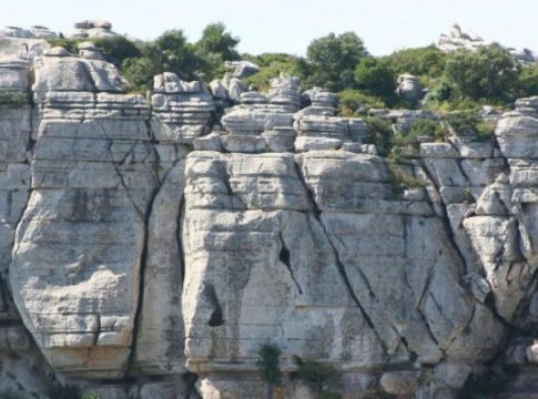 Sima Hedionda 4 Sima Hedionda 4