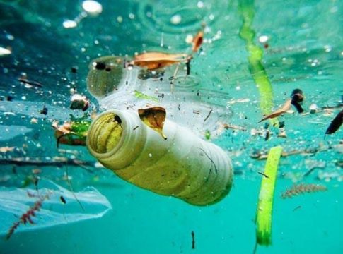 Soluciones a la contaminación marina Soluciones a la contaminación marina