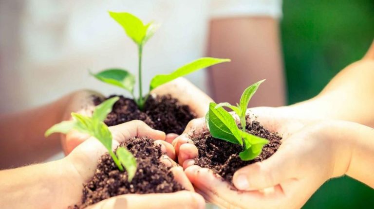 Jóvenes españoles consideran esencial la docencia para inculcar valores medioambientales