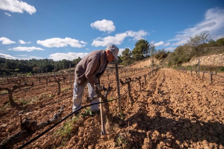 Los Veintisiete alcanzan un acuerdo sobre la futura Política Agrícola Común (PAC)