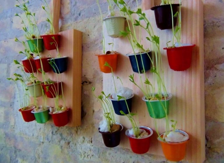 10 cosas que puedes hacer con las cápsulas de café