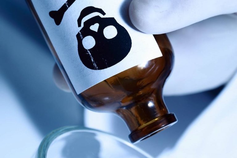 Alimentos que tienen cianuro y no lo sabes