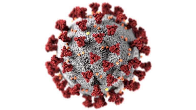 Si tienes estos síntomas YA has tenido Covid-19