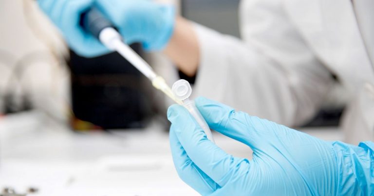 Castilla y León registra 686 positivos, con ocho fallecidos más y 24 nuevas altas