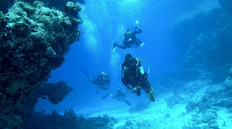 Consejos para comprar un equipo de buceo barato