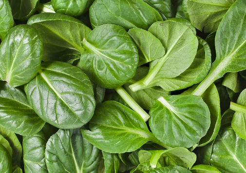 10 formas de preparar las espinacas