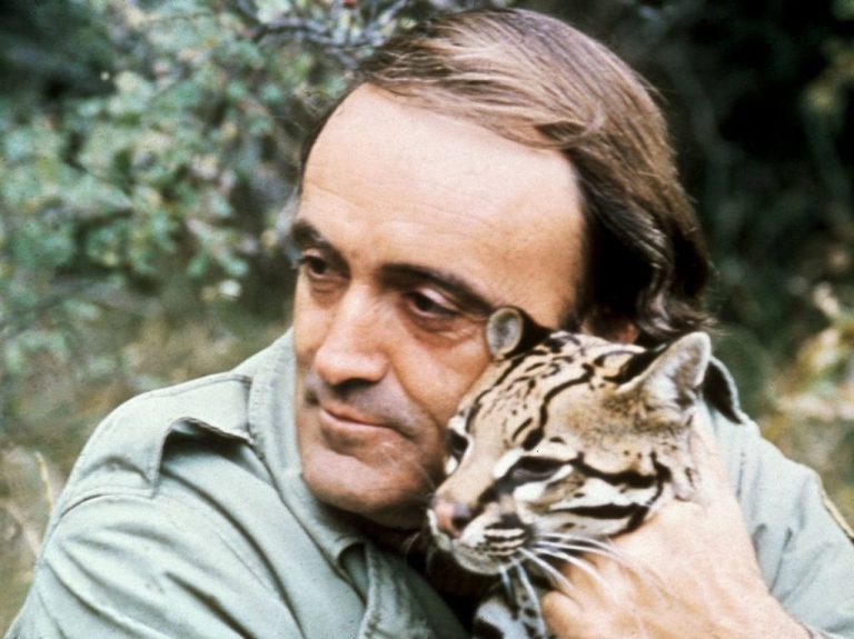 Ver programas sobre naturaleza influye positivamente en el estado de ánimo