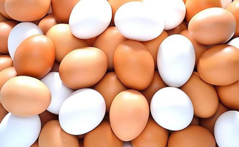 Por qué debes guardar los huevos en la nevera si en los supermercados están fuera