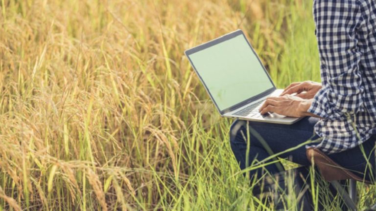 Adamo se posiciona como la mejor opción de Internet rural
