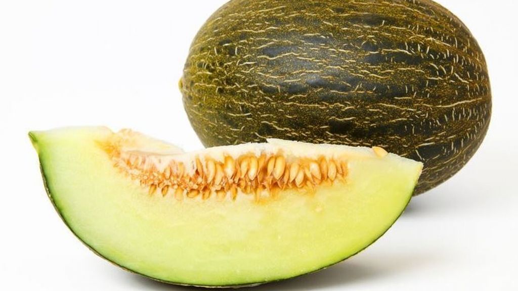 melón