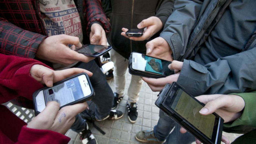 Desventajas de la plataforma