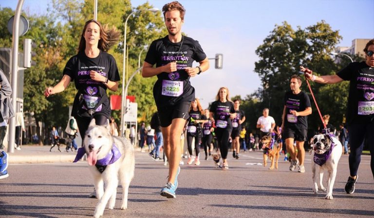 La nueva edición de la 'Perrotón Madrid' se celebrará presencialmente el próximo 10 de octubre