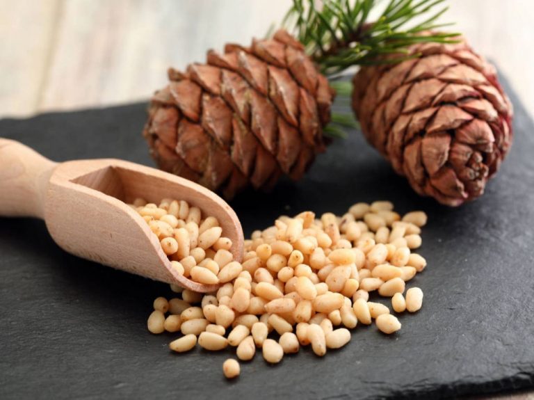 Frutos secos ‘prohibidos’: estos son los que más calorías tienen