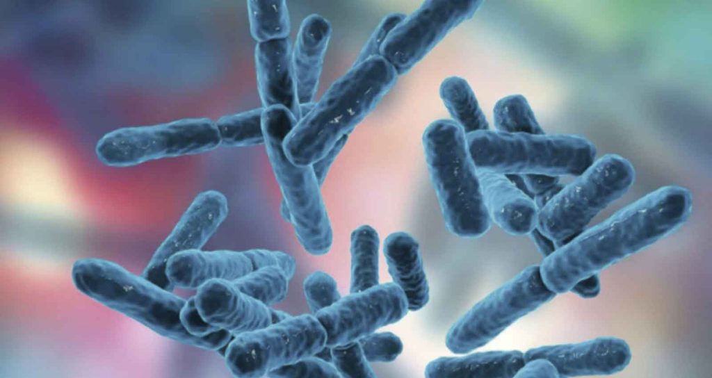 Probióticos y la gripe