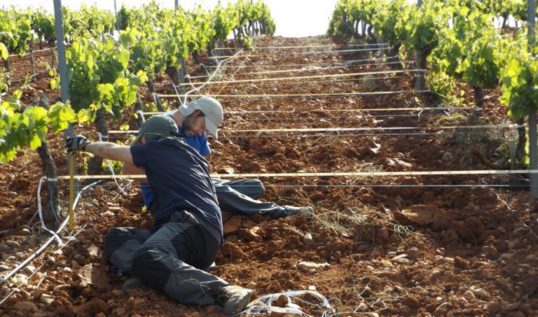 Investigadores de la UMA abordan la incidencia del cambio global