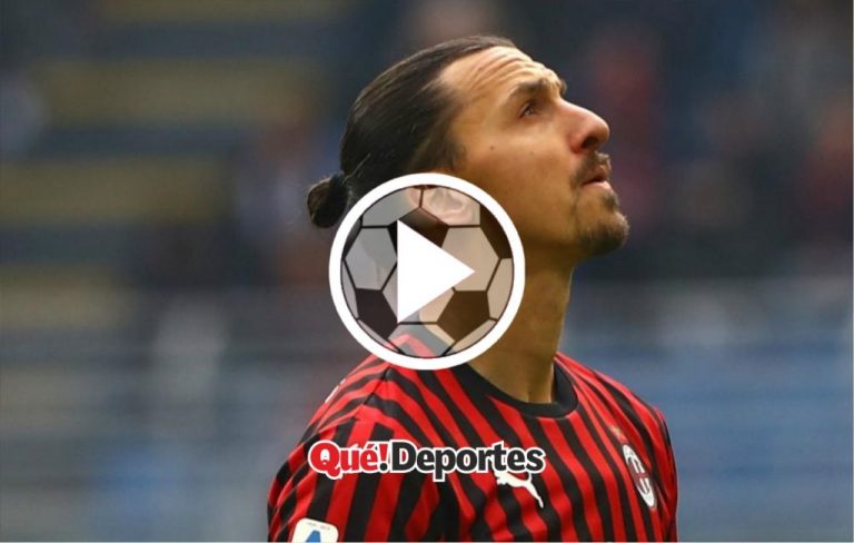Zlatan Ibrahimović no le tiene miedo a nada ¡Es una bestia!