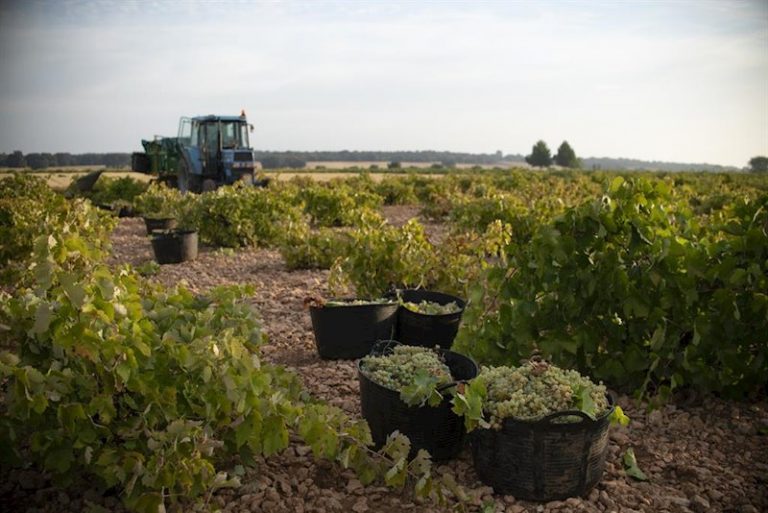 Unión de Uniones lamenta que el presupuesto de Agricultura no haya crecido en la misma proporción que el resto