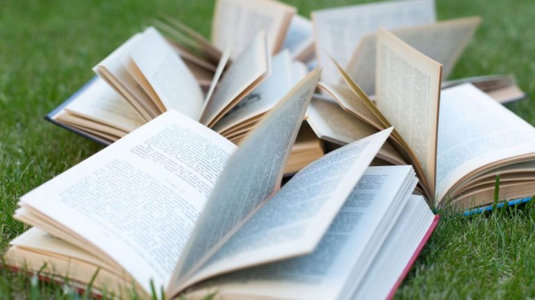 Primera edición de la Feria del Libro Malagueño se celebrará en La Alameda