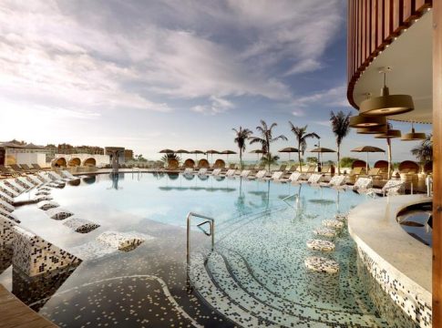 Cómo cuidar la planta del dinero Cómo cuidar la planta del dinero