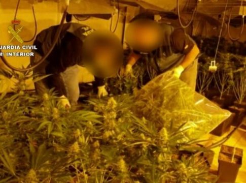 Treinta detenidos de una banda que distribuía marihuana en Europa Treinta detenidos de una banda que distribuía marihuana en Europa