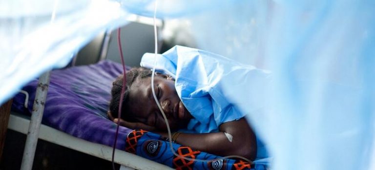 La OMS advierte de que la lucha contra la malaria está estancada