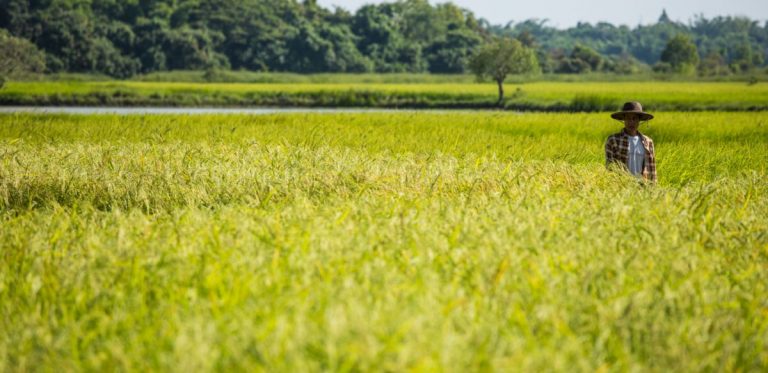 Expertos: Urge contar con una agenda  para las zonas rurales tras la crisis de la COVID