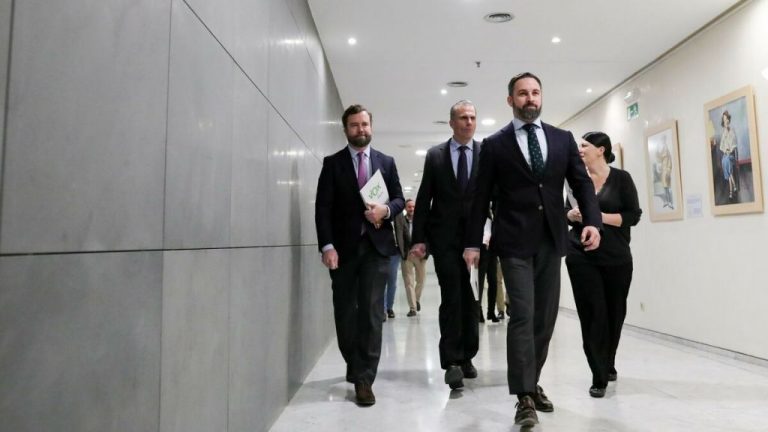 Vox recurre ante el TC el estado de alarma