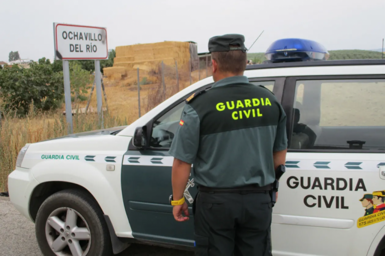 Guardia Civil desmantela una organización especializada en robo y despiece de vehículos