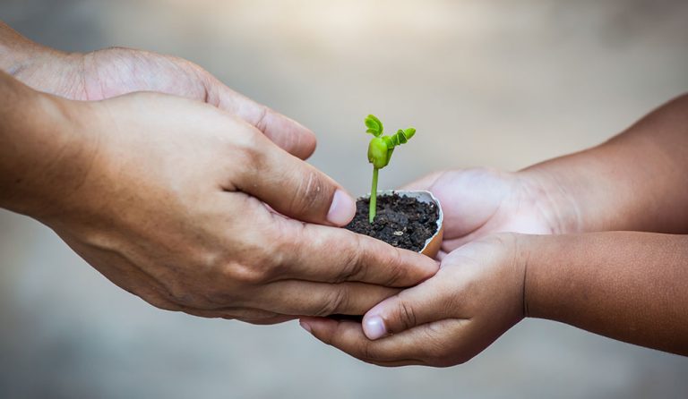Expertos internacionales abordan la conciencia ecológica en la infancia en un curso de la UIMP