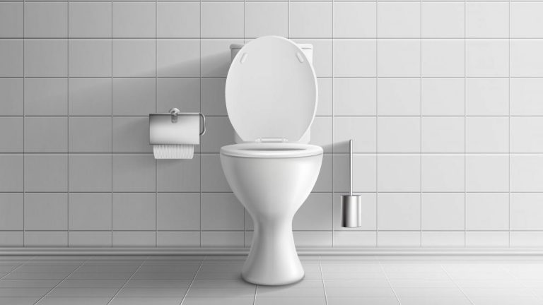 Desarrollan un inodoro que separa la orina del resto de deposiciones para evitar la contaminación del agua por nitrógeno